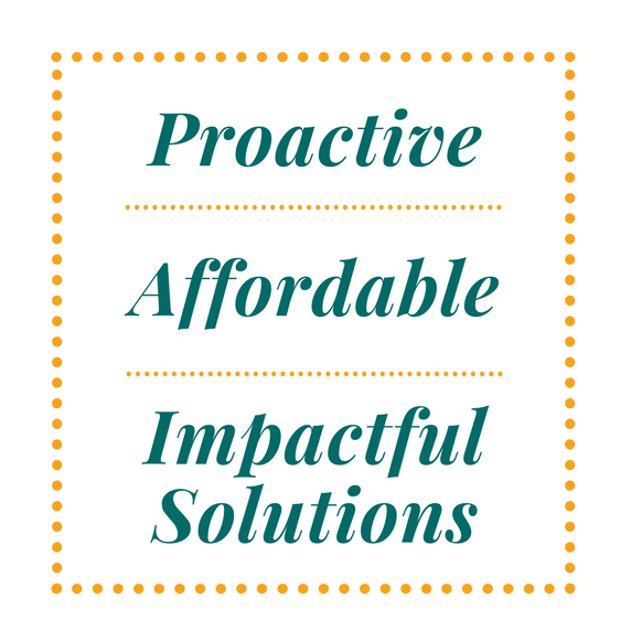 Proactive, Affordable, Impactful